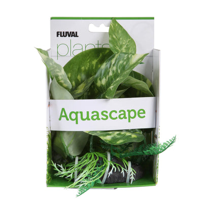 Fluval Aquascape Plant - Lizard's Tail - Medium - 17 cm (6.75in) with Base