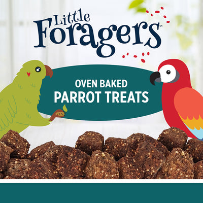 HARI Little Foragers, Veggie Nuggets