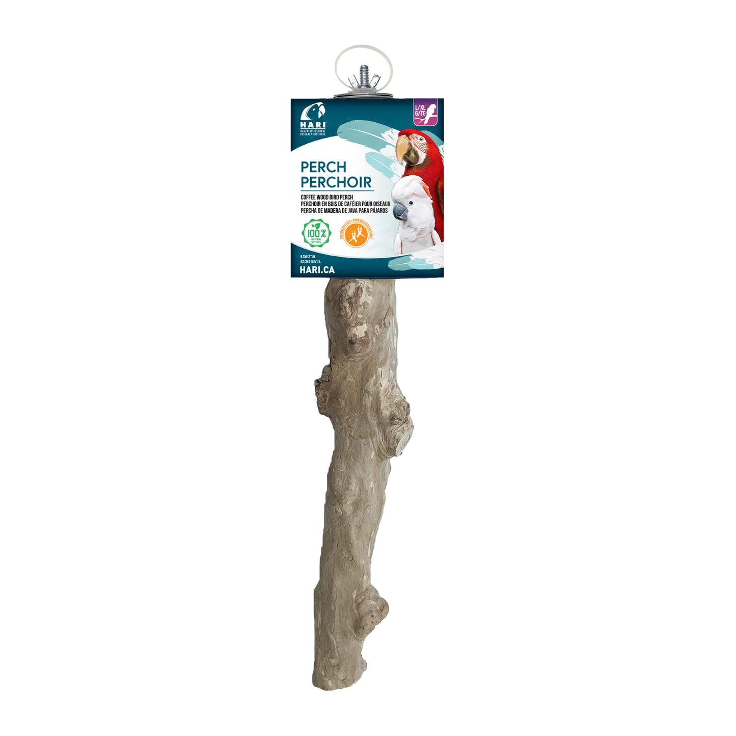 HARI Coffee Wood Bird Perch