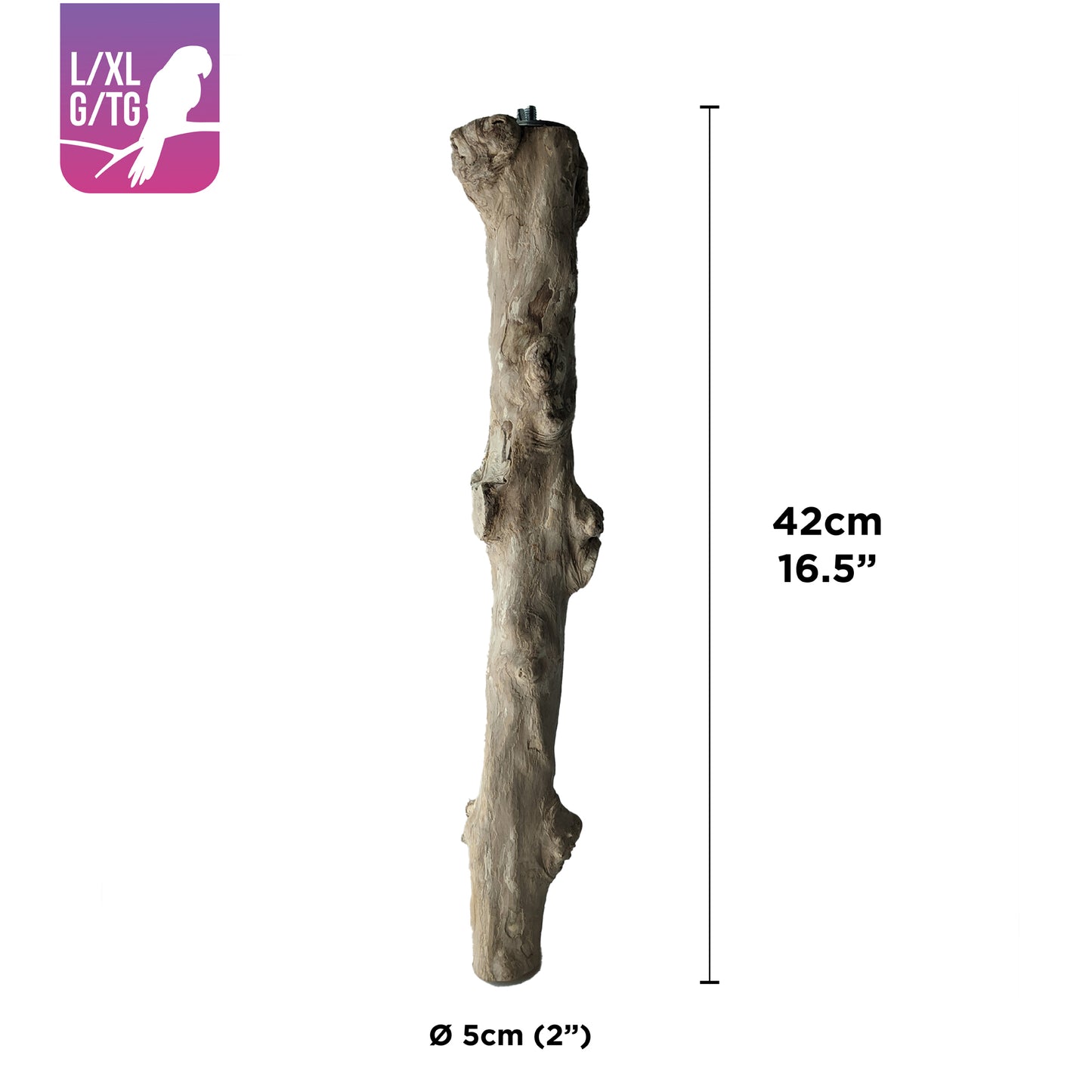 HARI Coffee Wood Bird Perch