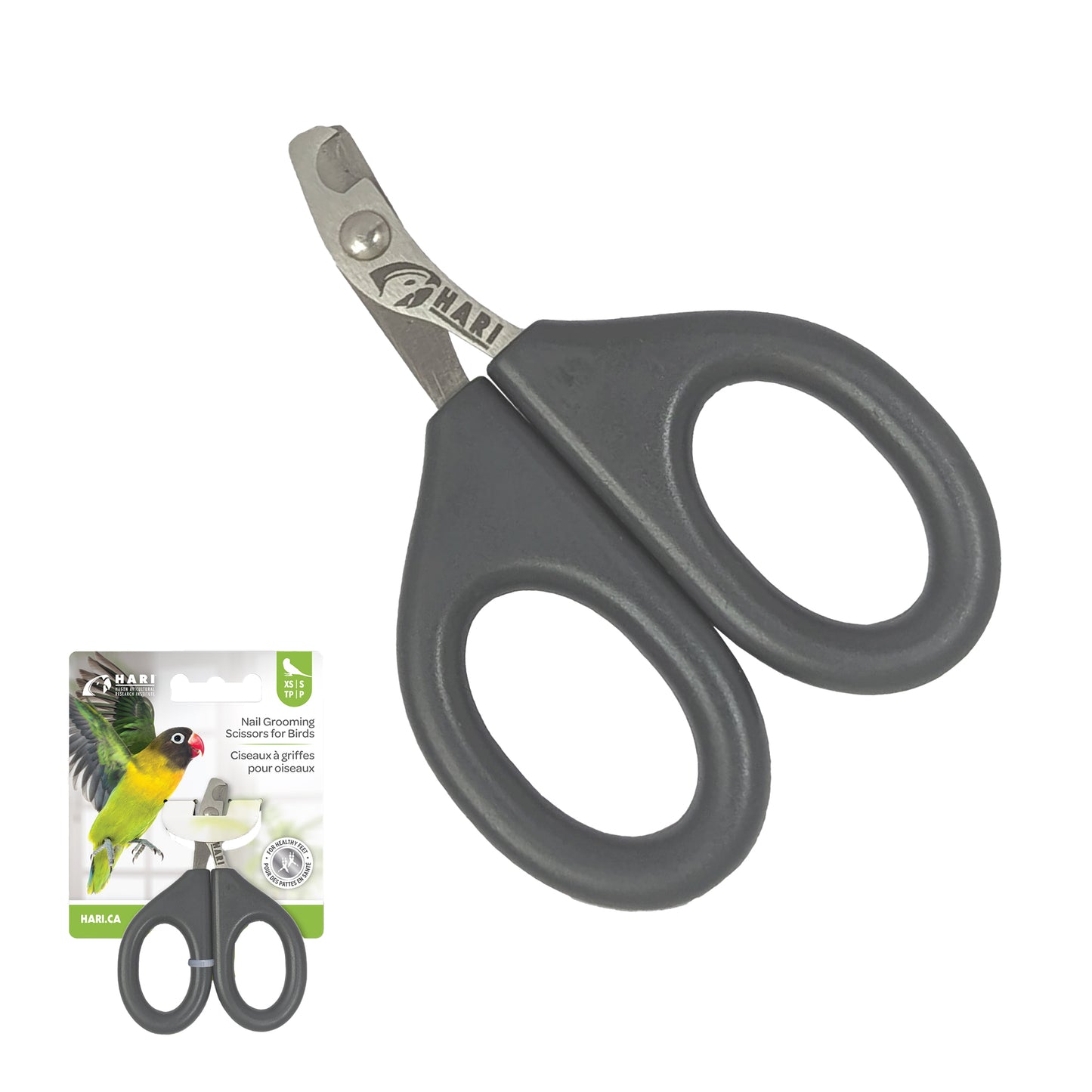 HARI Nail Grooming Scissors for Birds
