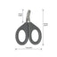 HARI Nail Grooming Scissors for Birds
