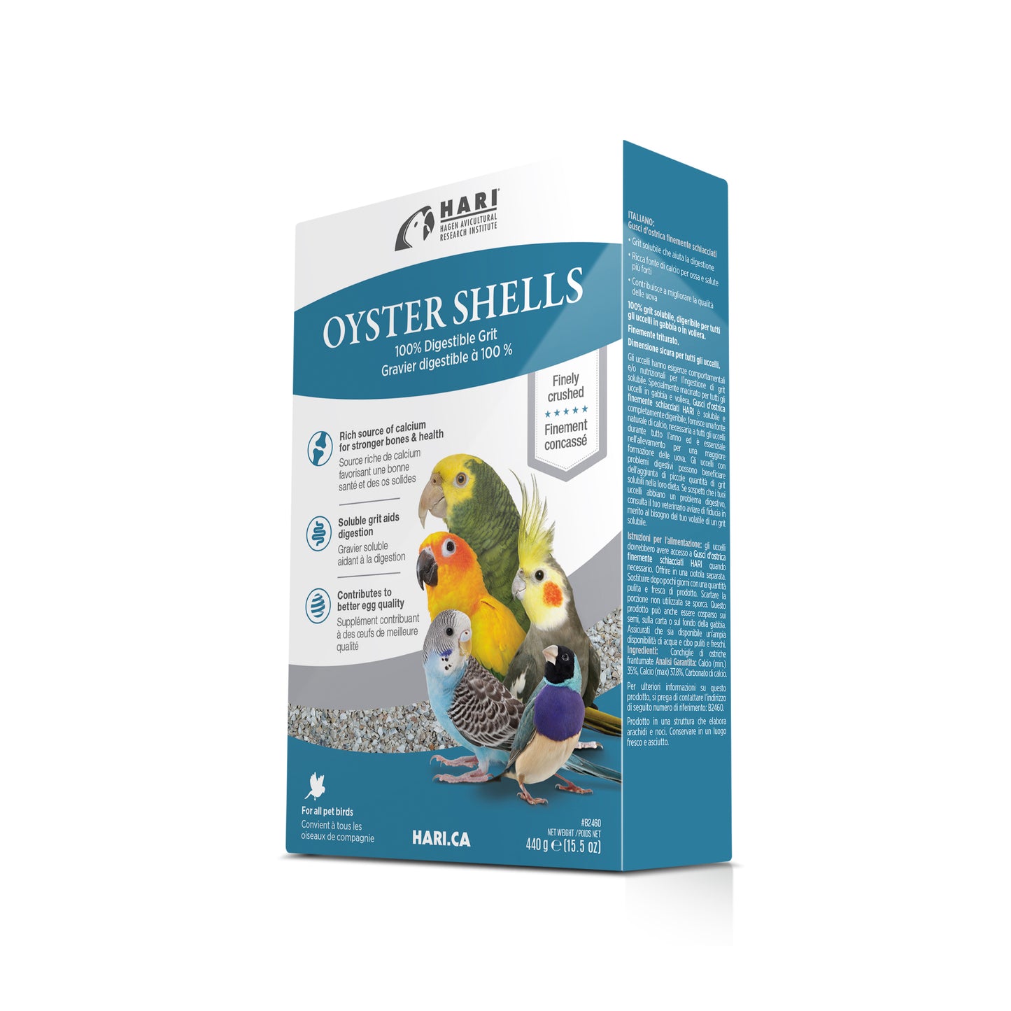 HARI Bird Oyster Shells