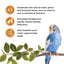 Living World Sticks - Budgie Treat - Honey Drizzle