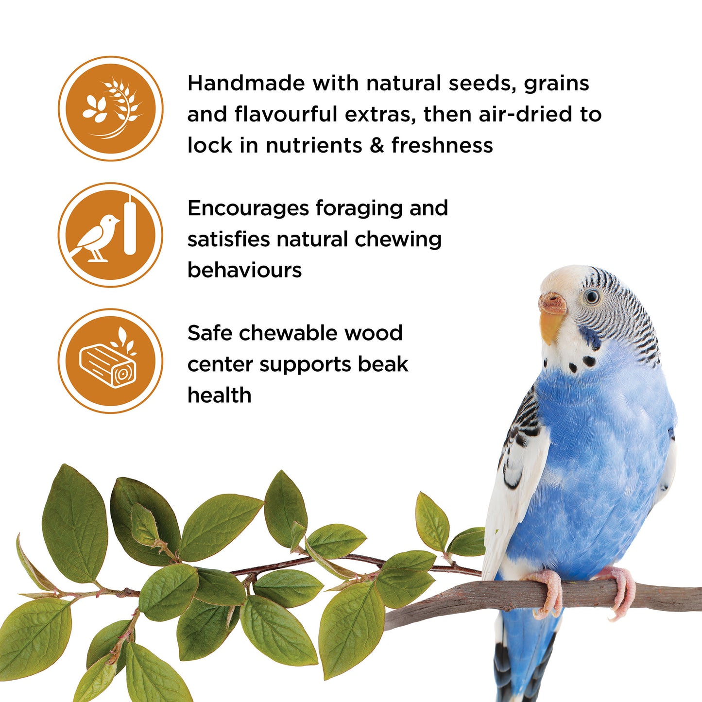 Living World Sticks - Budgie Treat - Honey Drizzle