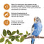 Living World Sticks - Budgie Treat - Honey Drizzle
