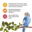 Living World Sticks - Budgie Treat - Variety Pack