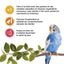 Living World Sticks - Budgie Treat - Variety Pack