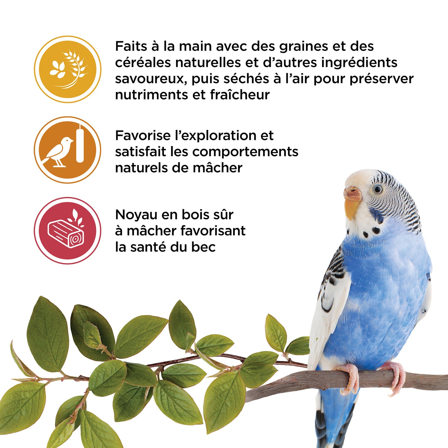 Living World Sticks - Budgie Treat - Variety Pack