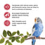 Living World Sticks - Budgie Treat - Fruit Melody