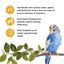 Living World Sticks - Budgie Treat - Egg Delight