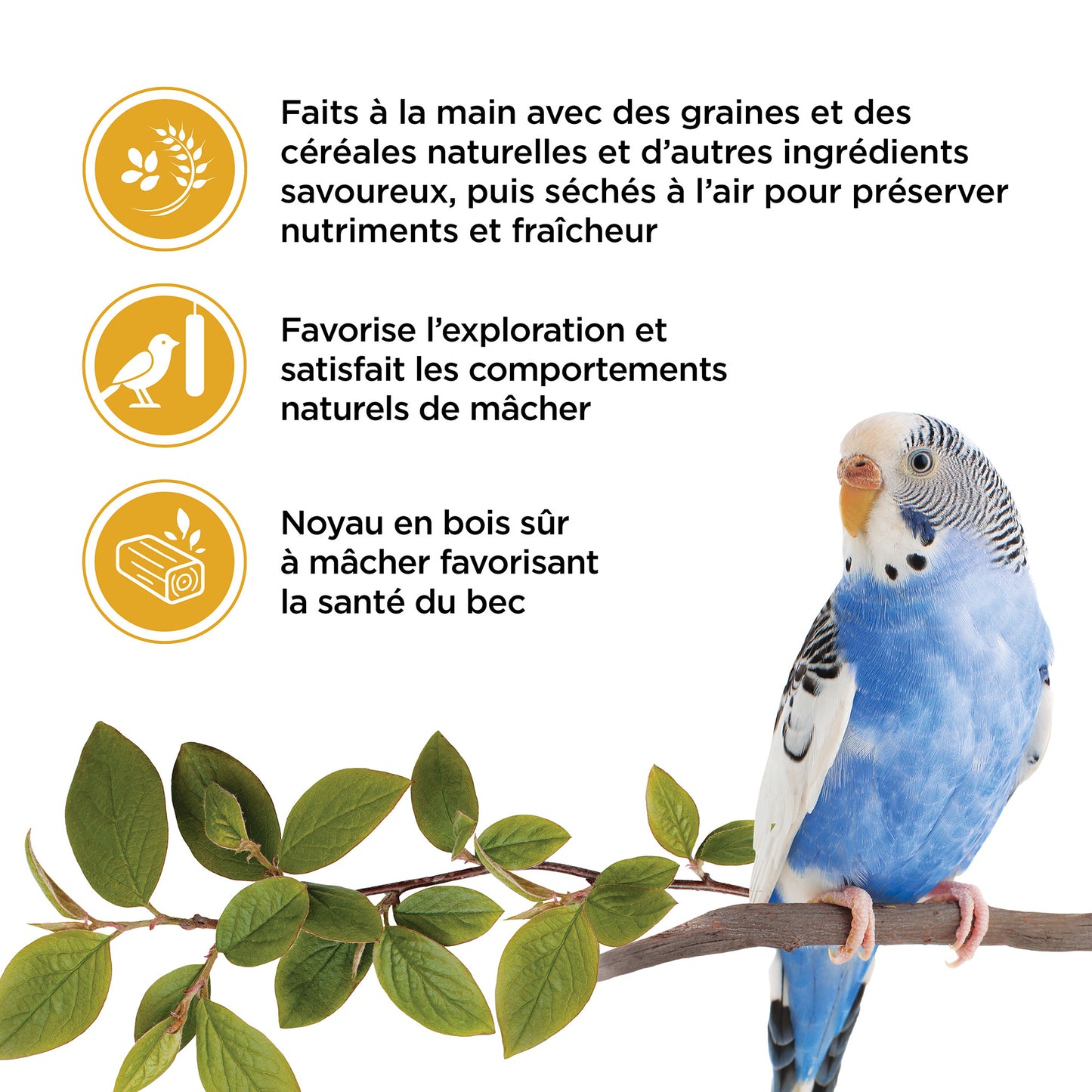 Living World Sticks - Budgie Treat - Egg Delight