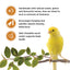 Living World Sticks - Canary Treat - Honey Drizzle
