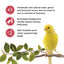 Living World Sticks - Canary Treat - Fruit Melody