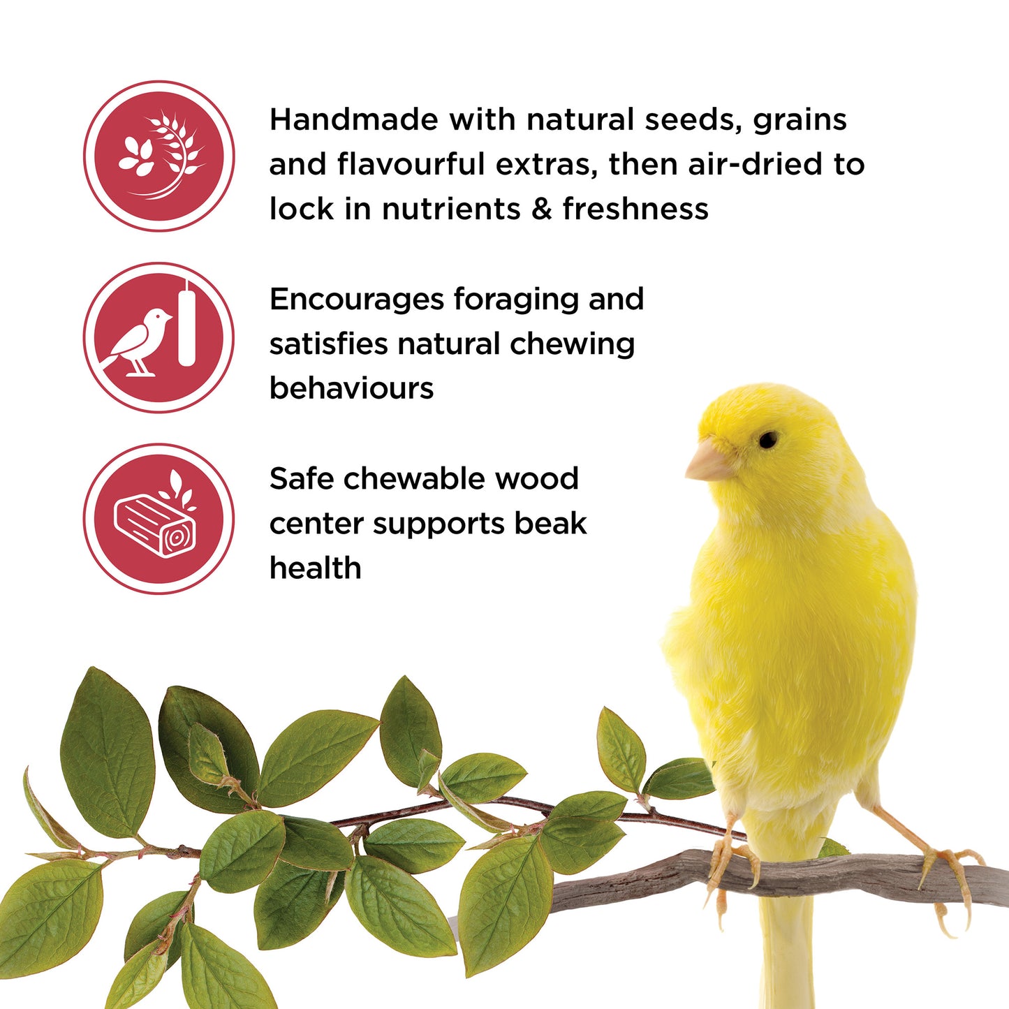 Living World Sticks - Canary Treat - Fruit Melody