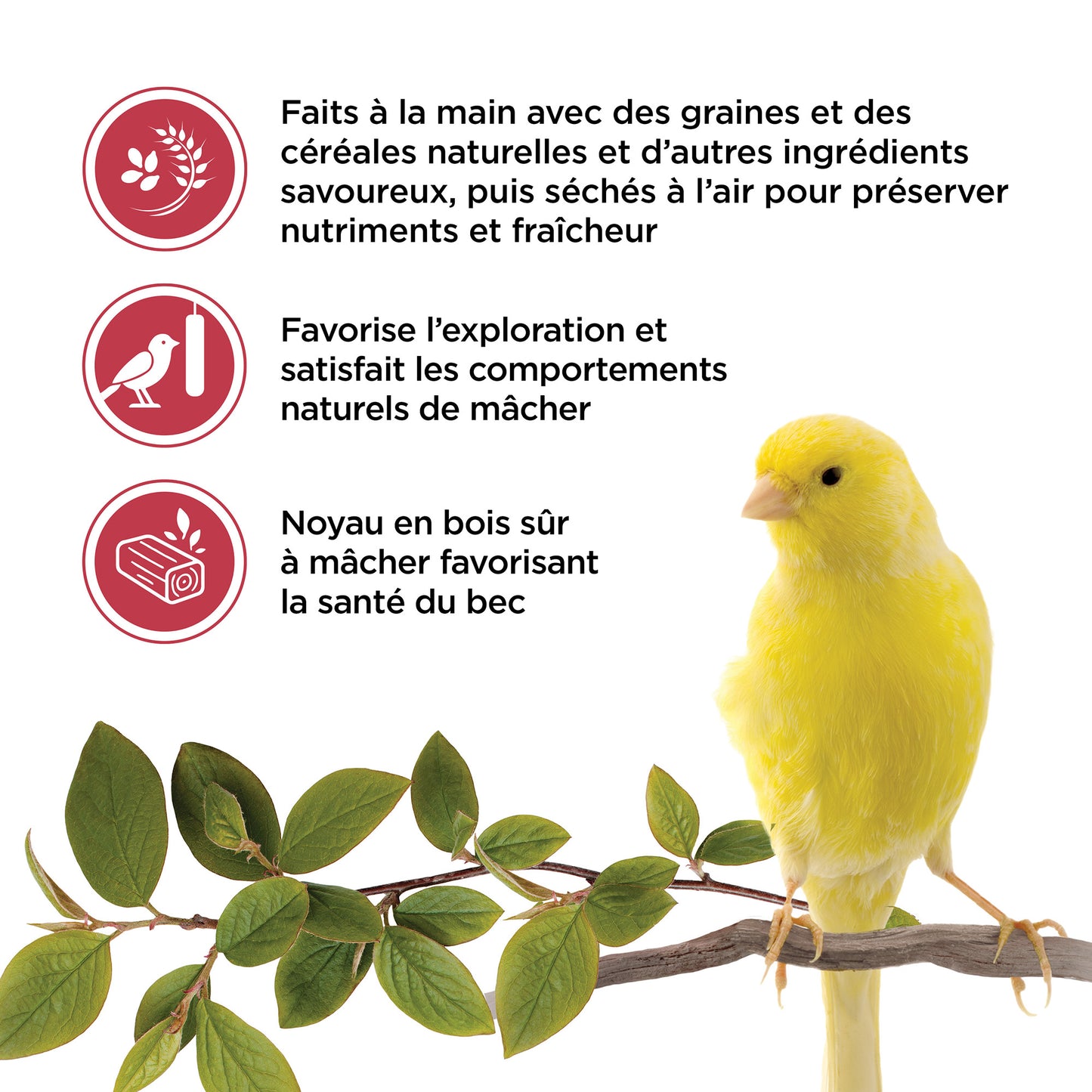 Living World Sticks - Canary Treat - Fruit Melody