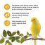 Living World Sticks - Canary Treat - Egg Delight