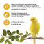 Living World Sticks - Canary Treat - Egg Delight