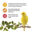 Living World Sticks - Canary Treat - Variety Pack