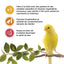 Living World Sticks - Canary Treat - Variety Pack