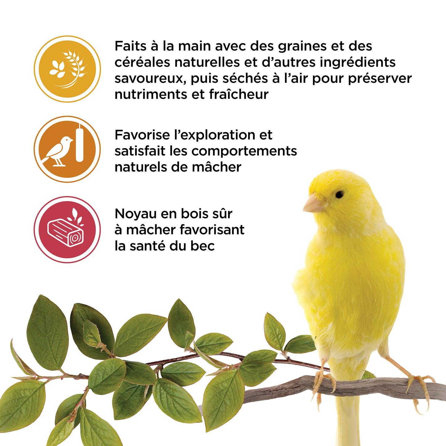 Living World Sticks - Canary Treat - Variety Pack