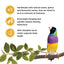 Living World Sticks - Finch Treat - Egg Delight