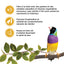Living World Sticks - Finch Treat - Egg Delight