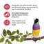 Living World Sticks - Finch Treat - Fruit Melody