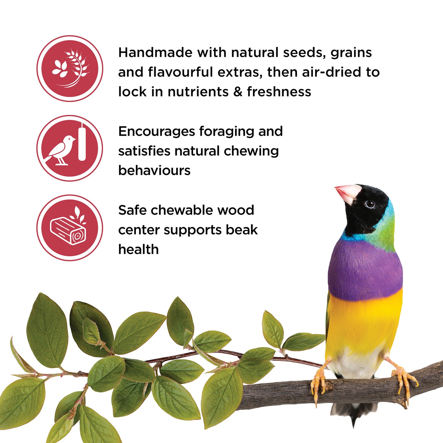 Living World Sticks - Finch Treat - Fruit Melody