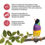 Living World Sticks - Finch Treat - Fruit Melody