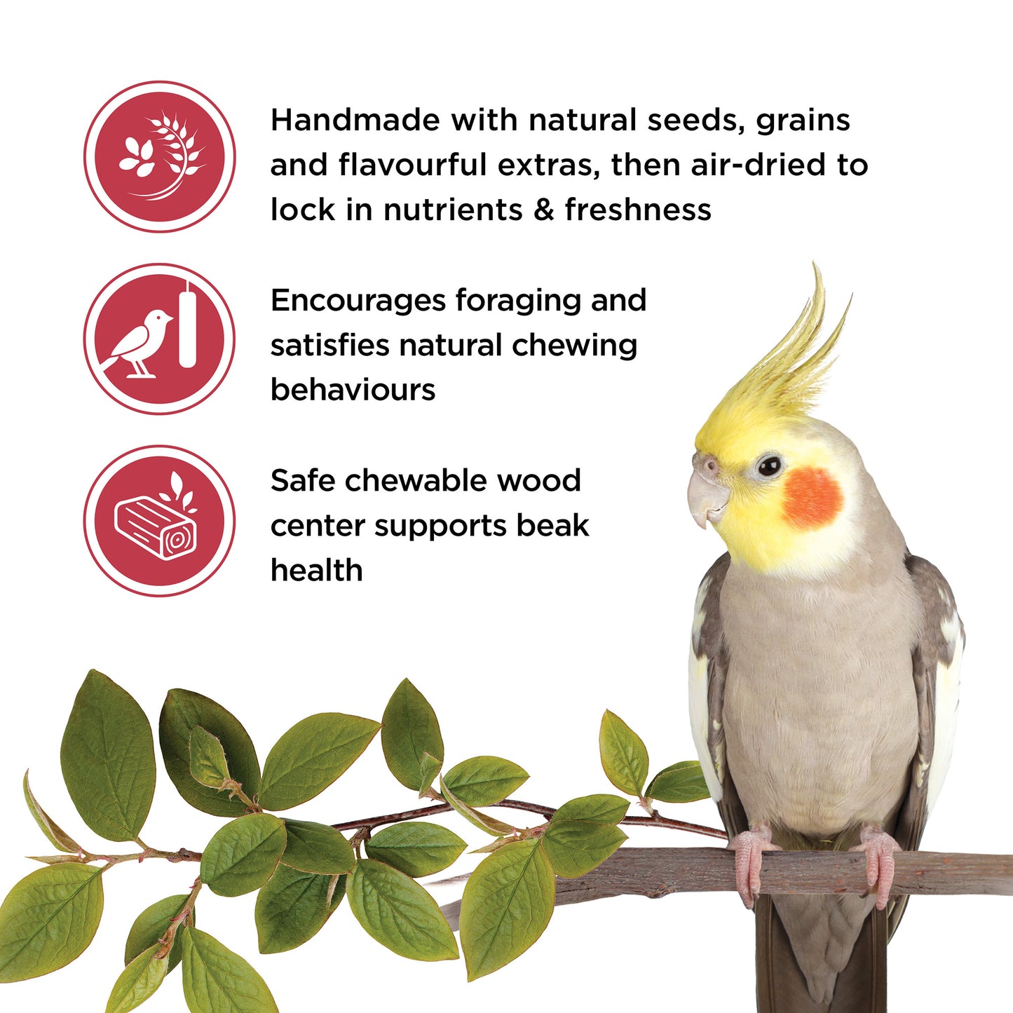 Living World Sticks - Cockatiel Treat - Fruit Melody