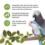 Living World Sticks - Parrot Treat - Veggie Patch