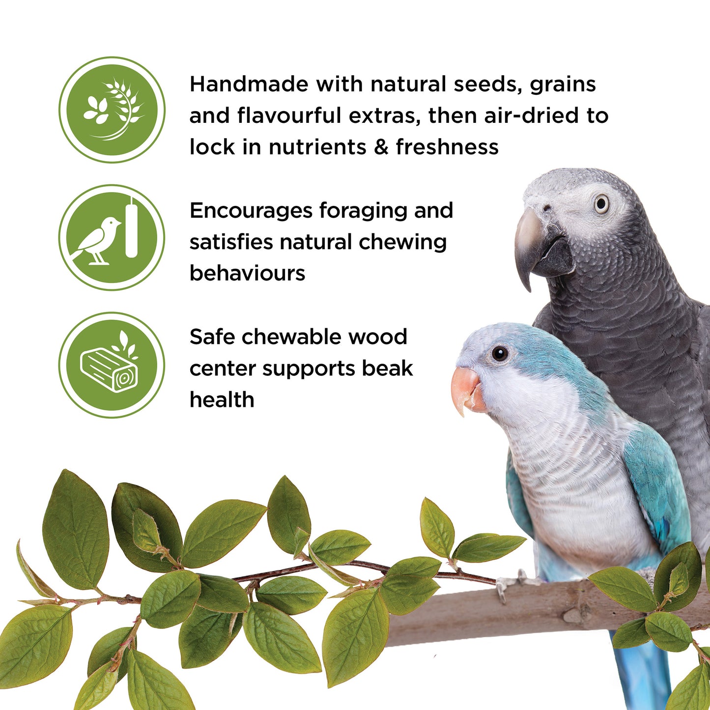 Living World Sticks - Parrot Treat - Veggie Patch