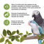 Living World Sticks - Parrot Treat - Veggie Patch