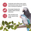Living World Sticks - Parrot Treat - Fruit Melody