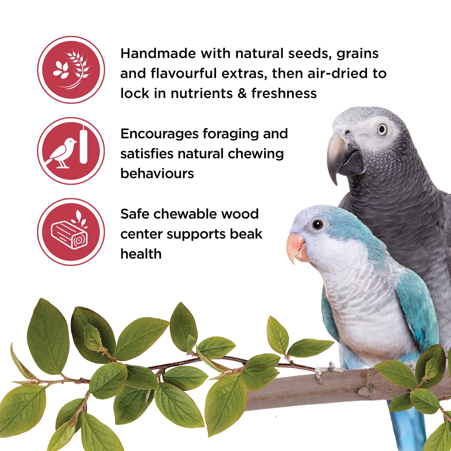 Living World Sticks - Parrot Treat - Fruit Melody