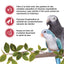 Living World Sticks - Parrot Treat - Fruit Melody
