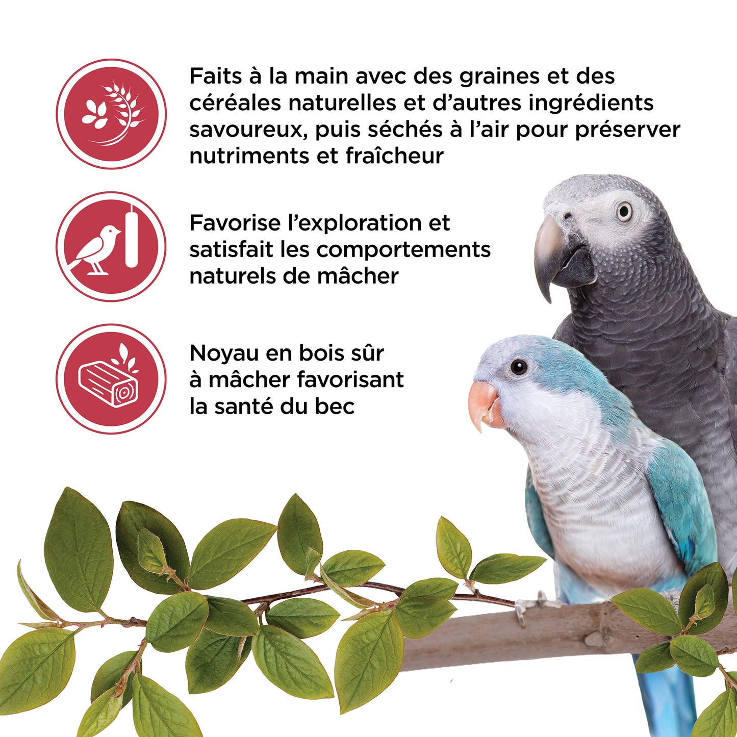 Living World Sticks - Parrot Treat - Fruit Melody