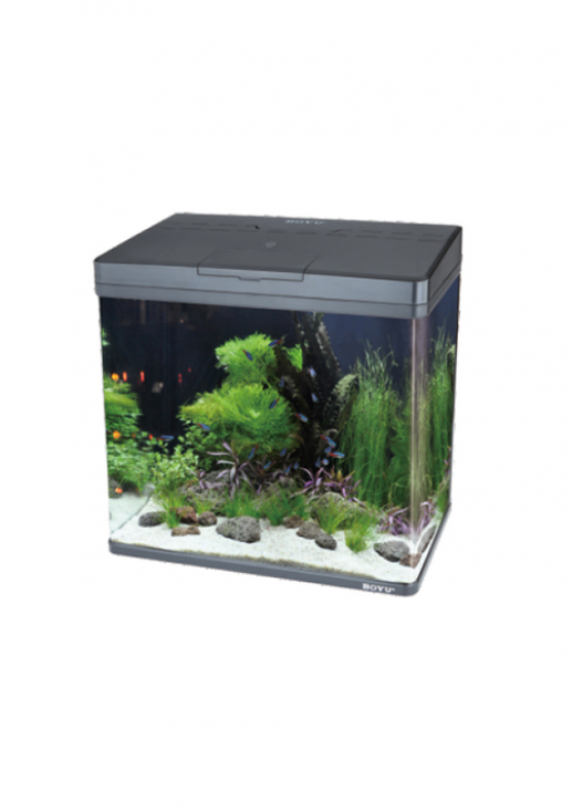 BOYU MS Aquarium