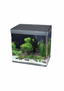 BOYU MS Aquarium