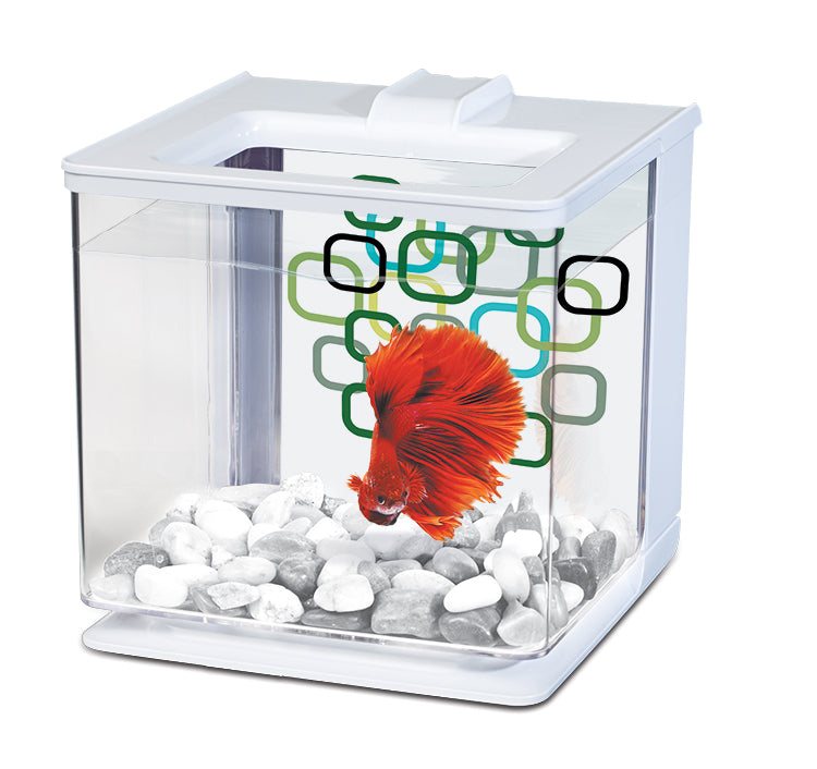 Marina 2.5L EZ Care Betta Kit - 2.5 L (0.7 US gal)