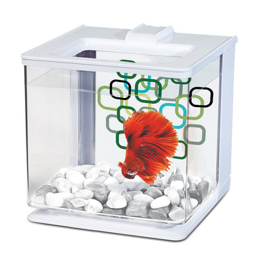 Marina 2.5L EZ Care Betta Kit - 2.5 L (0.7 US gal)