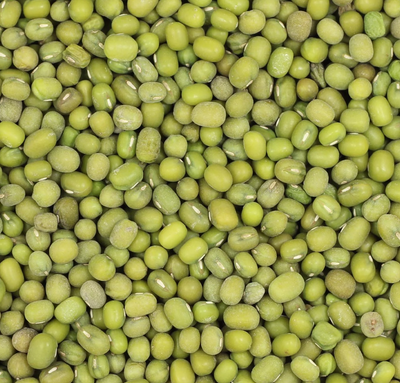 Green Millet