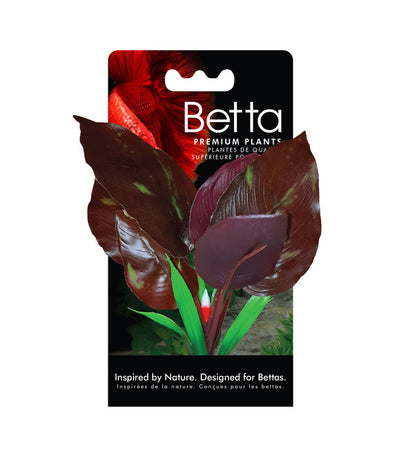 Fluval Betta Red Lizard Plant 15cm (6in)