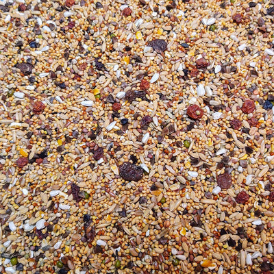 Bird Supreme Parakeets Excellent (No Sunflower)