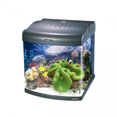 BOYU Mini Aquarium