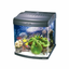 BOYU Mini Aquarium