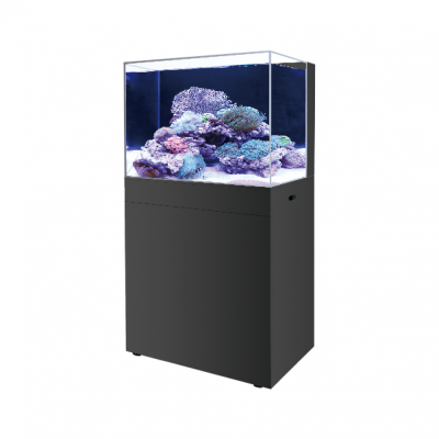 BOYU Marine Aquarium