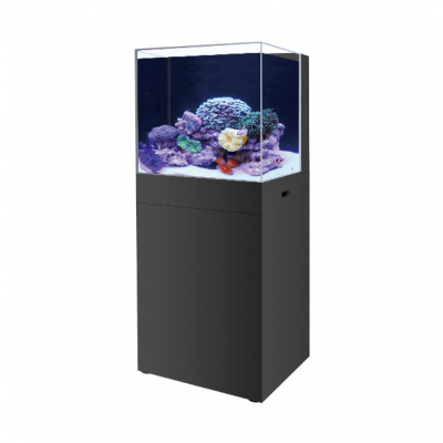 BOYU Marine Aquarium